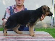CEKIN Augenblick